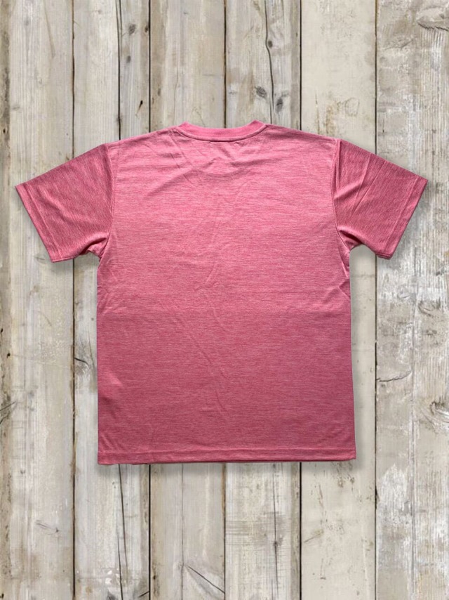 ドライメッシュtシャツ ヤシの木logo