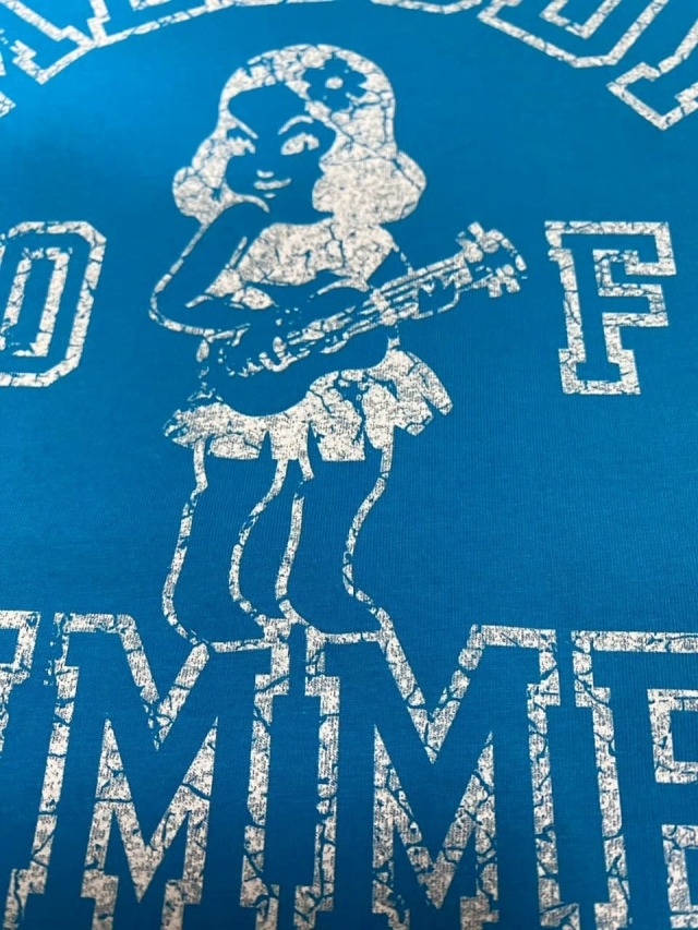 クルーネックTシャツ（MELODY OF SUMMER）/水色