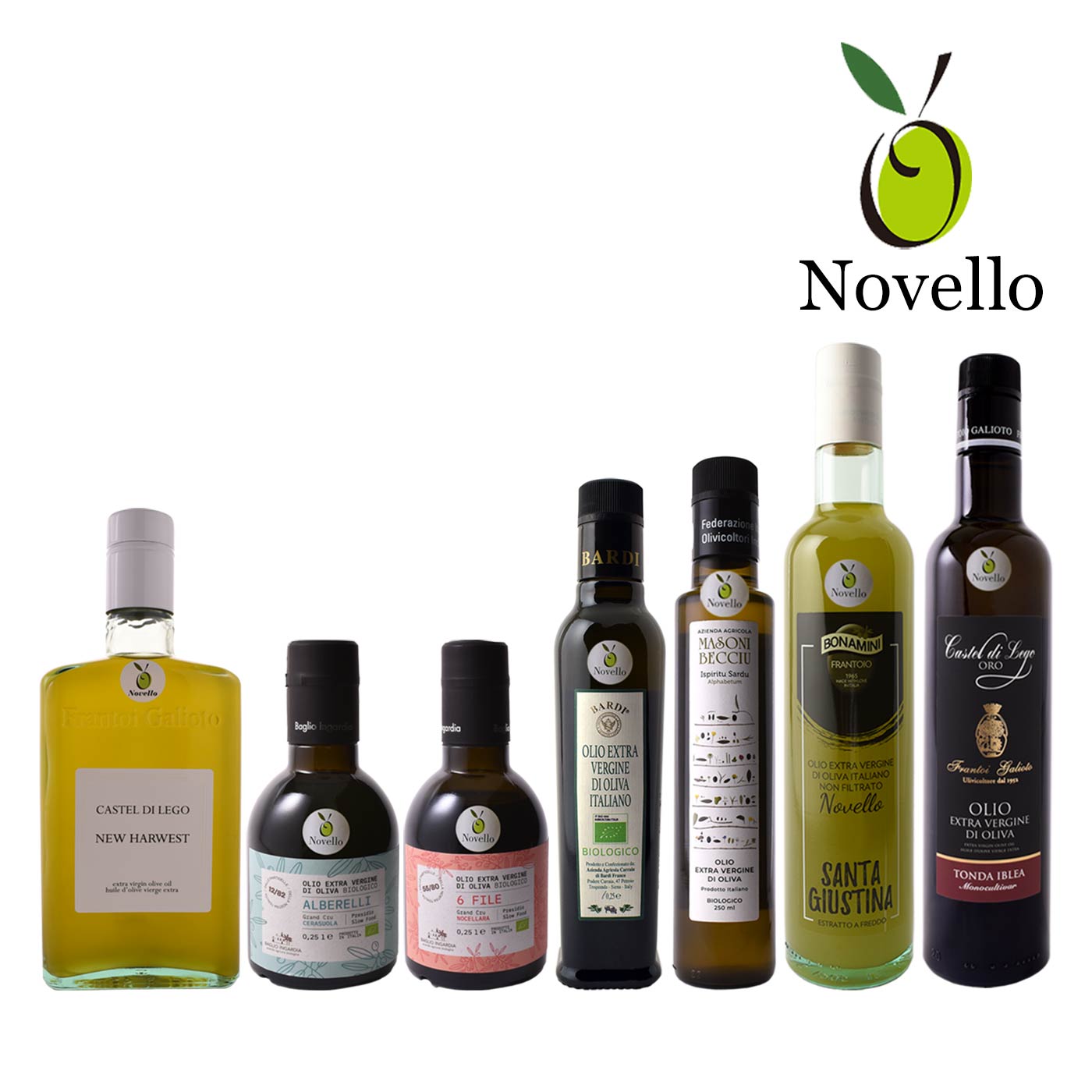 通常販売】2025年ノヴェッロ 10月中旬以降 入荷次第 順次発売