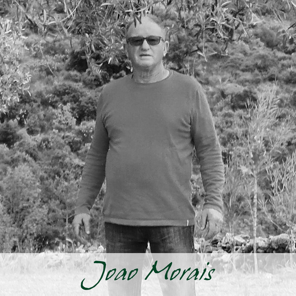 ジョアン・モライス