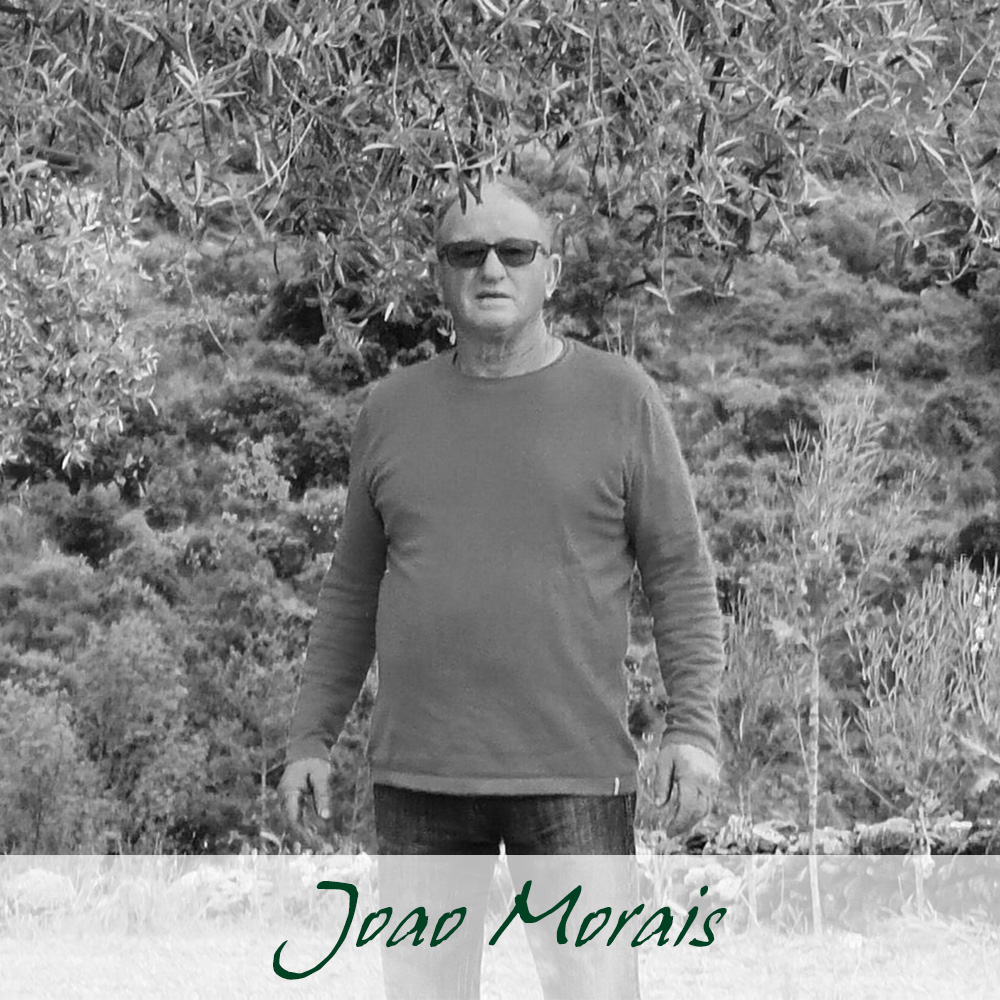 Joao Morais 