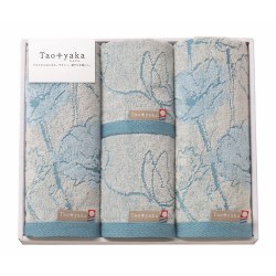 tao-31b