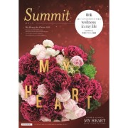summit