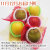 FB-B_1112