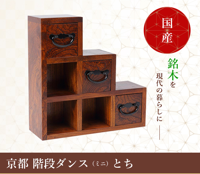 英語説明書つき、階段ダンス（ミニ）とち