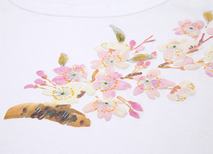 桜02　（白）