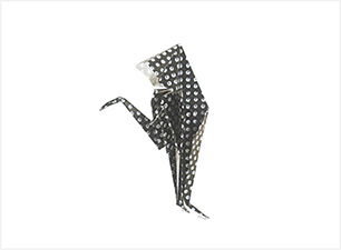 英訳付き　伝承折り紙帖 Ｏｒｉｇａｍｉ　Ｂｏｏｋｌｅｔ