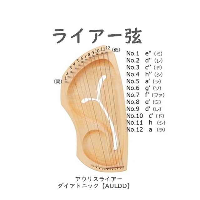 アウリスライアー ダイアトニック（弦販売）|AULSE-301｜オーガニック