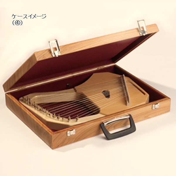 コロイ　大型ライヤー(木箱ケース付き)|MC55130000