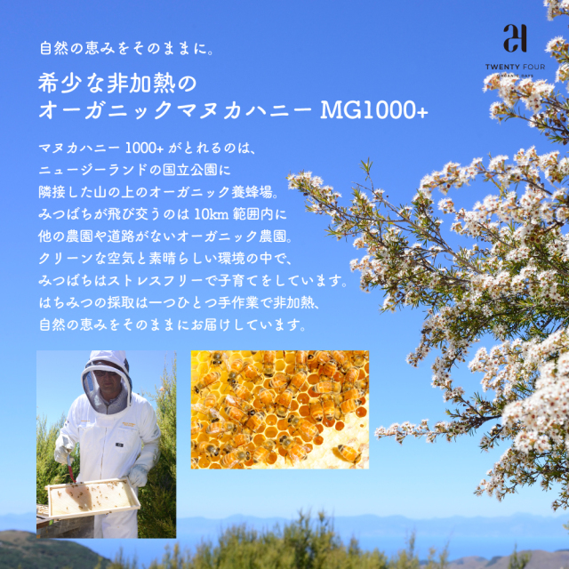 オーガニック マヌカハニー MG1000+ 24MHOMH1000 【公式通販】24