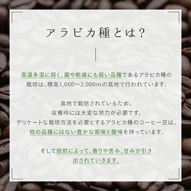 オーガニック インスタントコーヒー |24WR-837501｜オーガニック