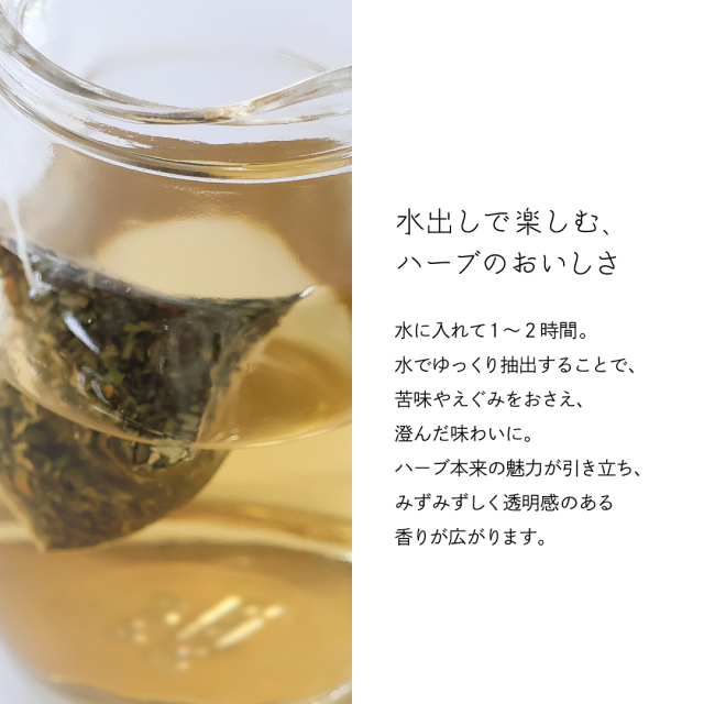 ゾネントア コールドブリュー チョコミント｜ゾネントア【公式通販