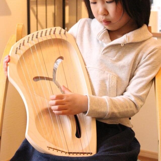 アウリスライヤー ダイヤトニック　イメージ |AULDD