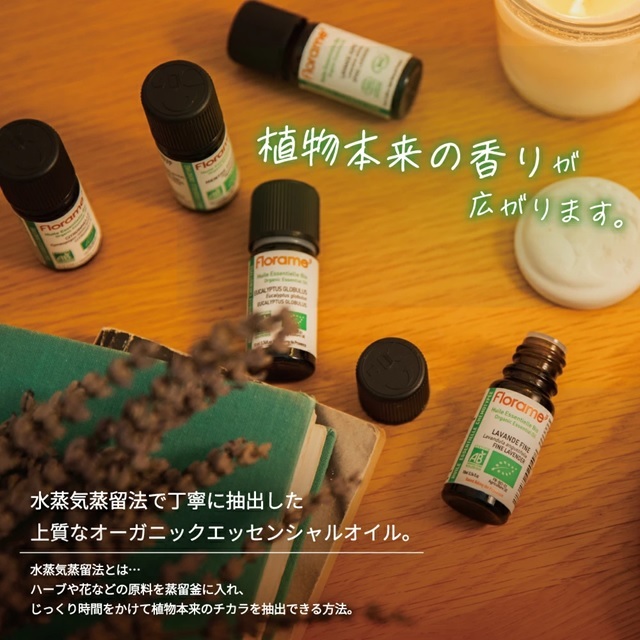 mami様　プラナロム ティートゥリー BIO 30ml×2本 ティーツリー mami様 プラナロム ティートゥリー BIO 30ml×2本 ティーツリー
