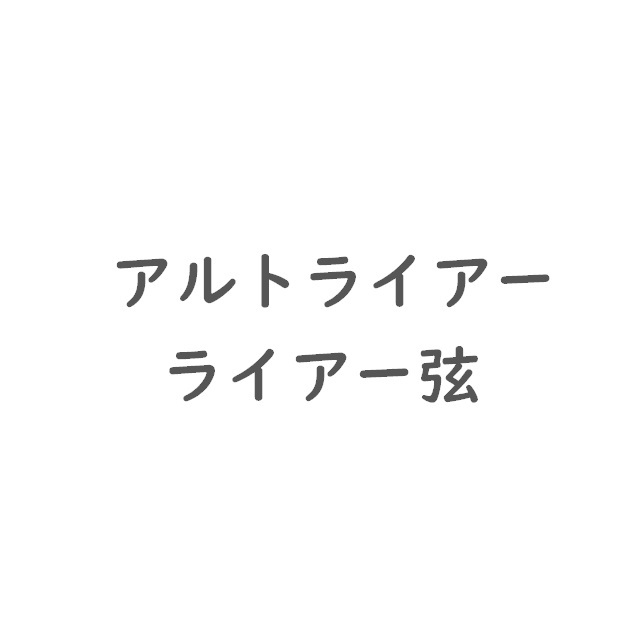 アルトライアー（弦販売） |MC55128701
