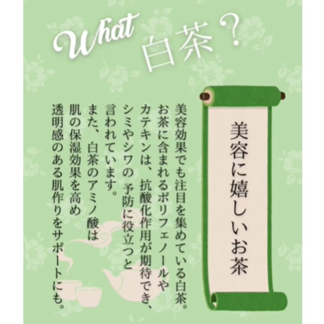 白茶｜ゾネントア【公式通販】-おもちゃ箱