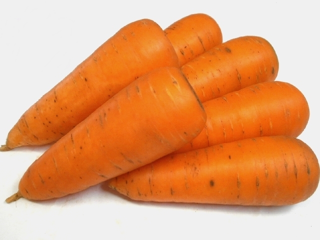 ニンジン（5月掘り）