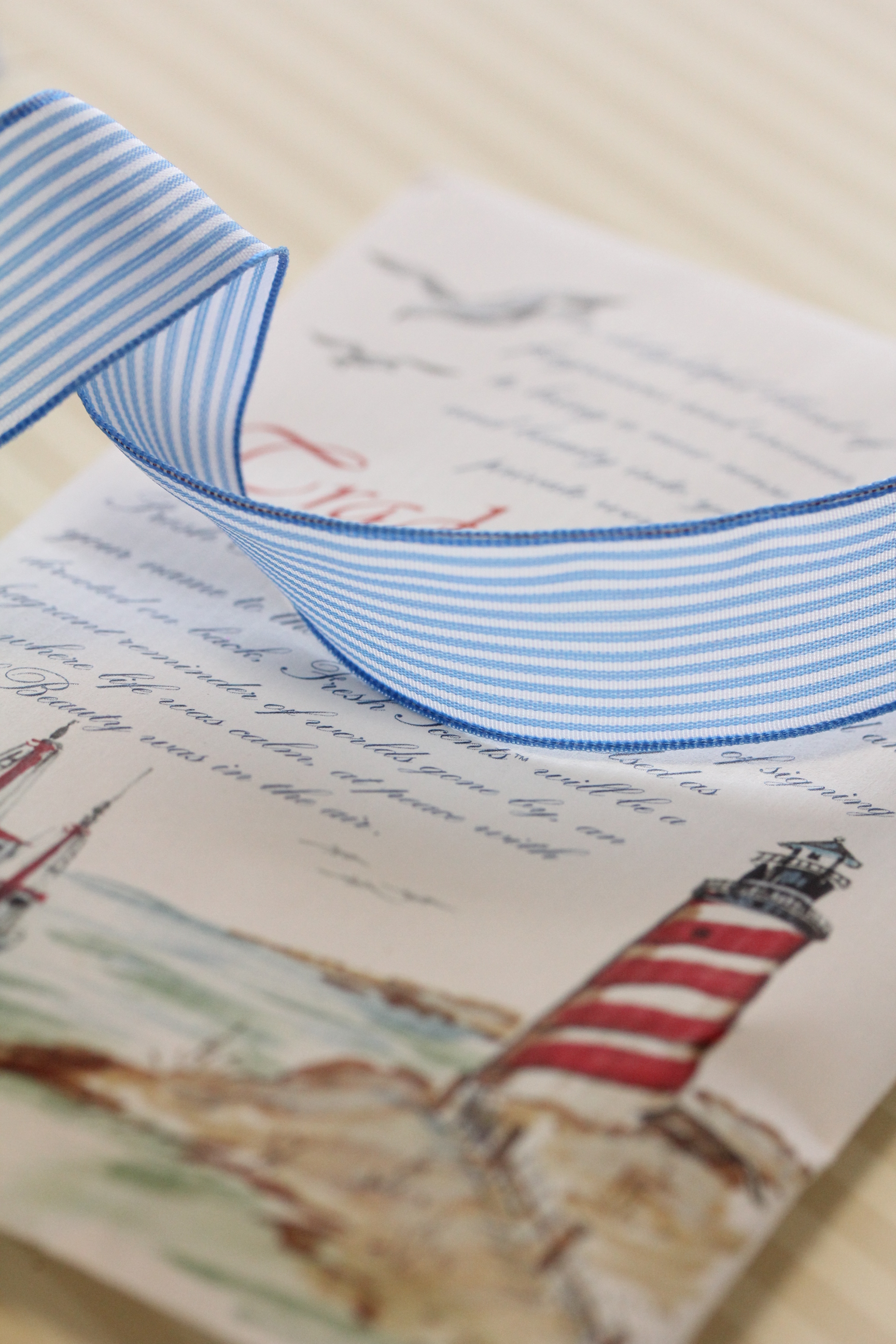 フランス製ワイヤーリボン・ストライプ　25ミリ幅　