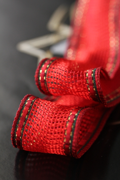 フランス製ワイヤーリボン・ノーブルメッシュRed 25ミリ幅　