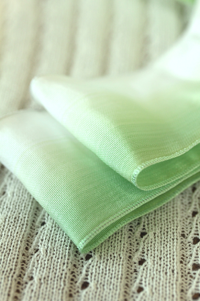 フランス製ワイヤーリボン・グラデーション　Green/White 50ミリ幅　