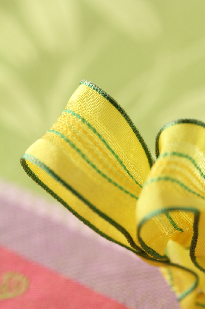 フランス製ワイヤーリボン　ラフィネ　25ミリ幅　