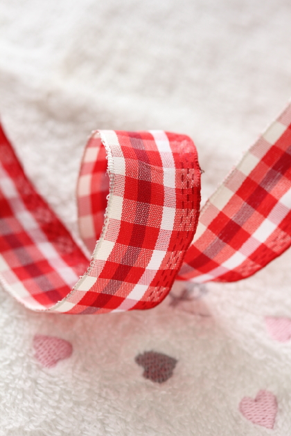 フランス製ワイヤーリボン  Gingham　CHECK　25ミリ幅　
