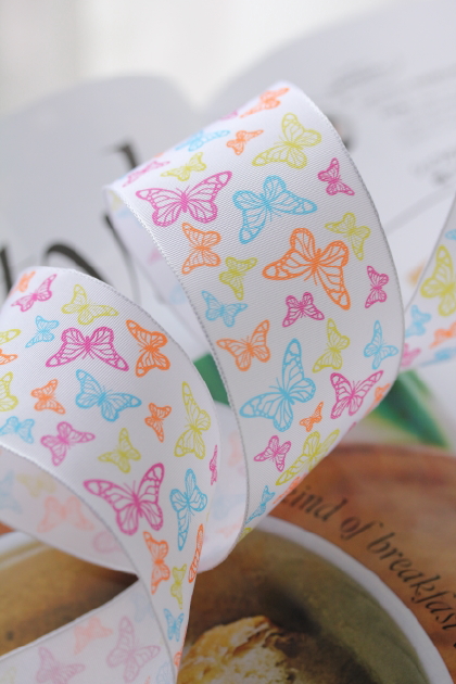 フランス製ワイヤーリボン　PAPILLONS 40ミリ幅