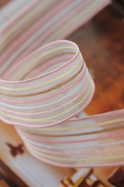 フランス製ワイヤーリボン　レインボーSoft color　25ミリ幅　