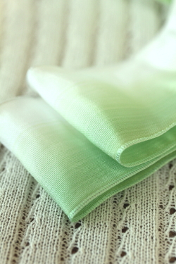 フランス製ワイヤーリボン・グラデーション　Green/White 50ミリ幅　