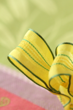 フランス製ワイヤーリボン　ラフィネ　25ミリ幅　