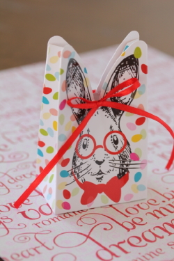 フランス雑貨　　Gift Box ラパン