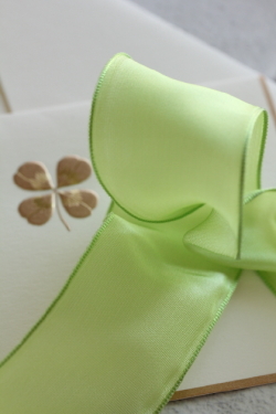 フランス製ワイヤーリボン・スタンダード　Pistachio green 40ミリ幅　