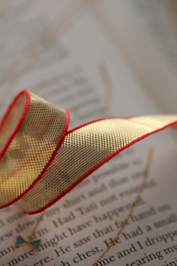 フランス製リボン クリスマスTape ribbon  10ミリ幅