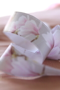 ドイツ製リボン　MAGNOLIEN ニュアンスカラー 25ミリ幅