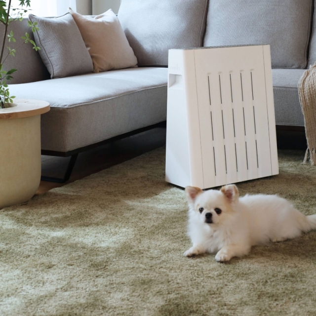 EHT-M15QDS（WC）/LB