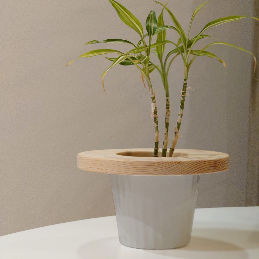 プランツテーブル スモール（20cm）