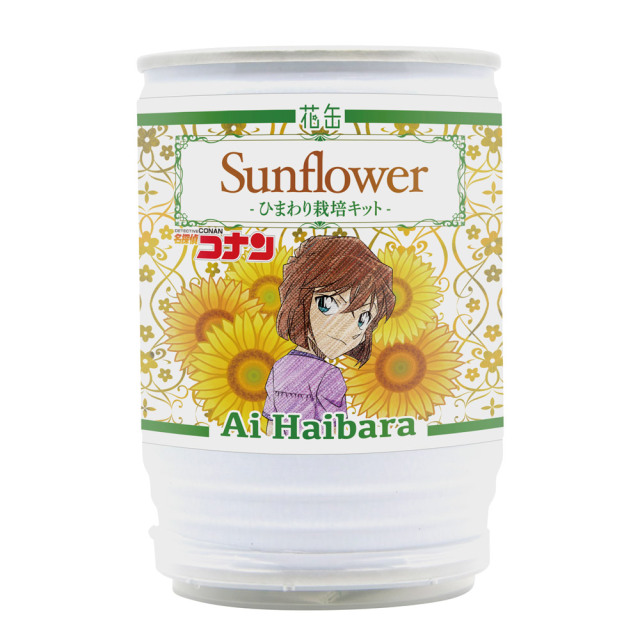 名探偵コナン　花缶　ひまわり栽培キット　灰原哀