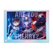 【7月上旬発送予定】劇場版【名探偵コナン 黒鉄の魚影（サブマリン）】デュエル オーロラ アクリルボード【予約期間：4/7～5/5】