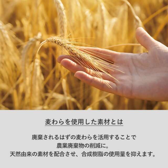 【エコボールペン】麦わら配合タイプ