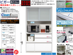 【期間限定価格戦略レンジ】「ビガー」１２００レンジ　国内最高環境安全基準Ｆ☆☆☆☆素材仕様、幅１１７cm・高さ２０５cmのスチームオーブンレンジに対応した、安心安全に使える十分な機能を備えた１サイズ・２色の価格戦略レンジボードです。