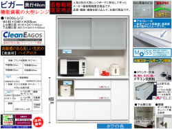 【期間限定価格戦略大型レンジ】「ビガー」１４００レンジ　国内最高環境安全基準Ｆ☆☆☆☆素材仕様、幅１４０cm・高さ２０５cmのスチームオーブンレンジに対応した、安心安全に使える十分な機能を備えた１サイズ・２色の価格戦略レンジボードです。