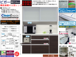 【期間限定価格戦略大型レンジ】「ビガー」１６００レンジ　国内最高環境安全基準Ｆ☆☆☆☆素材仕様、幅１５６cm・高さ２０５cmのスチームオーブンレンジに対応した、安心安全に使える十分な機能を備えた１サイズ・２色の価格戦略レンジボードです。