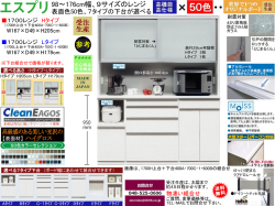 【ほぼ満足できる高機能レンジボード】「エスプリ」１７００Lレンジ（受注生産）　W１６７×D４９×H１７９cm、F☆☆☆☆素材仕様、５０色ハイグロス表面材・１７９（L）、２０５（H）cmの高さ・７タイプ下台がお好みで選べるレンジボード