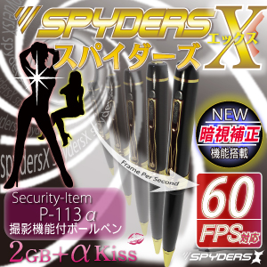 小型カメラ ペン型 スパイダーズＸ  P113α