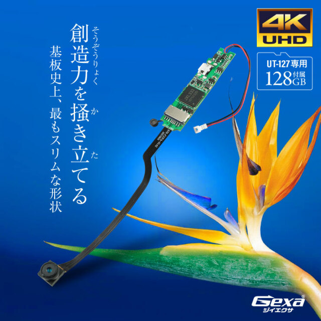 シラスウナギ用 小型定置網 あぶ