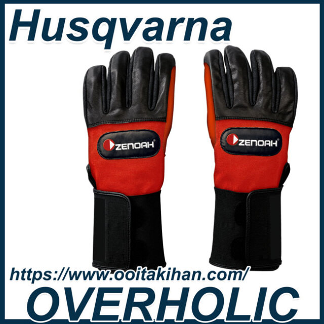 ※ひまわり☆セール中☆プロフ読んで下さい♪様　ご確認用※ 楽天市場】ひまわり アポロン 鉢植え 目指せ1000輪 向日葵