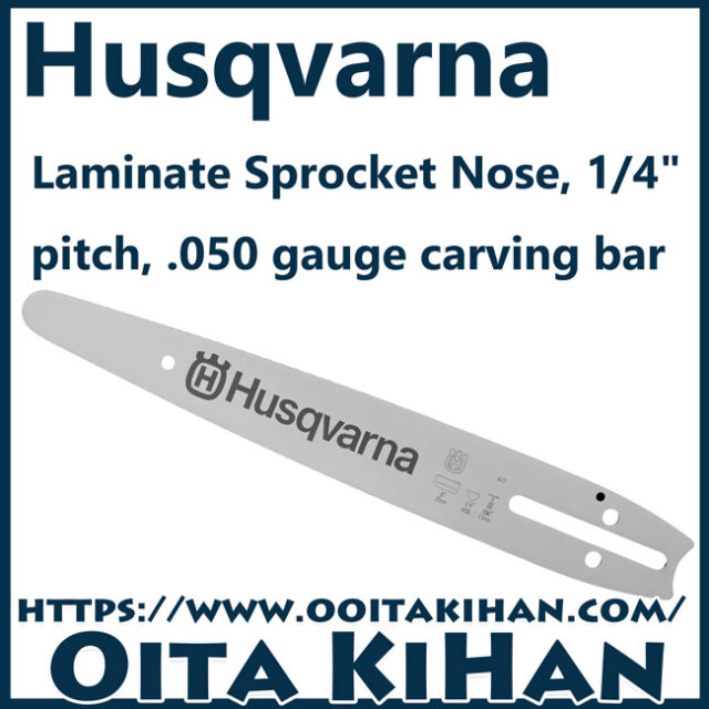 ハスクバーナカービングバー10インチ(25cm)(H00)