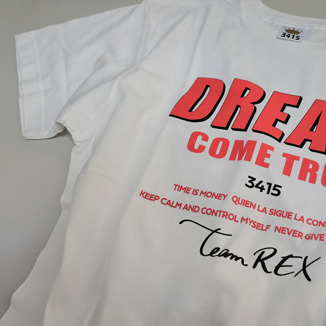 Ｔシャツ
