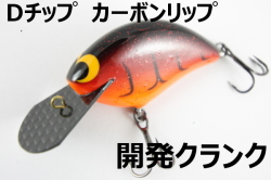 開発クランク 「Dチップ カーボンリップ」 【クリックポスト発送可