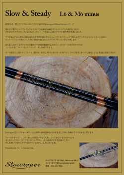 スローテーパー 「スロー&ステディー L6 M6minus」 【送料無料】